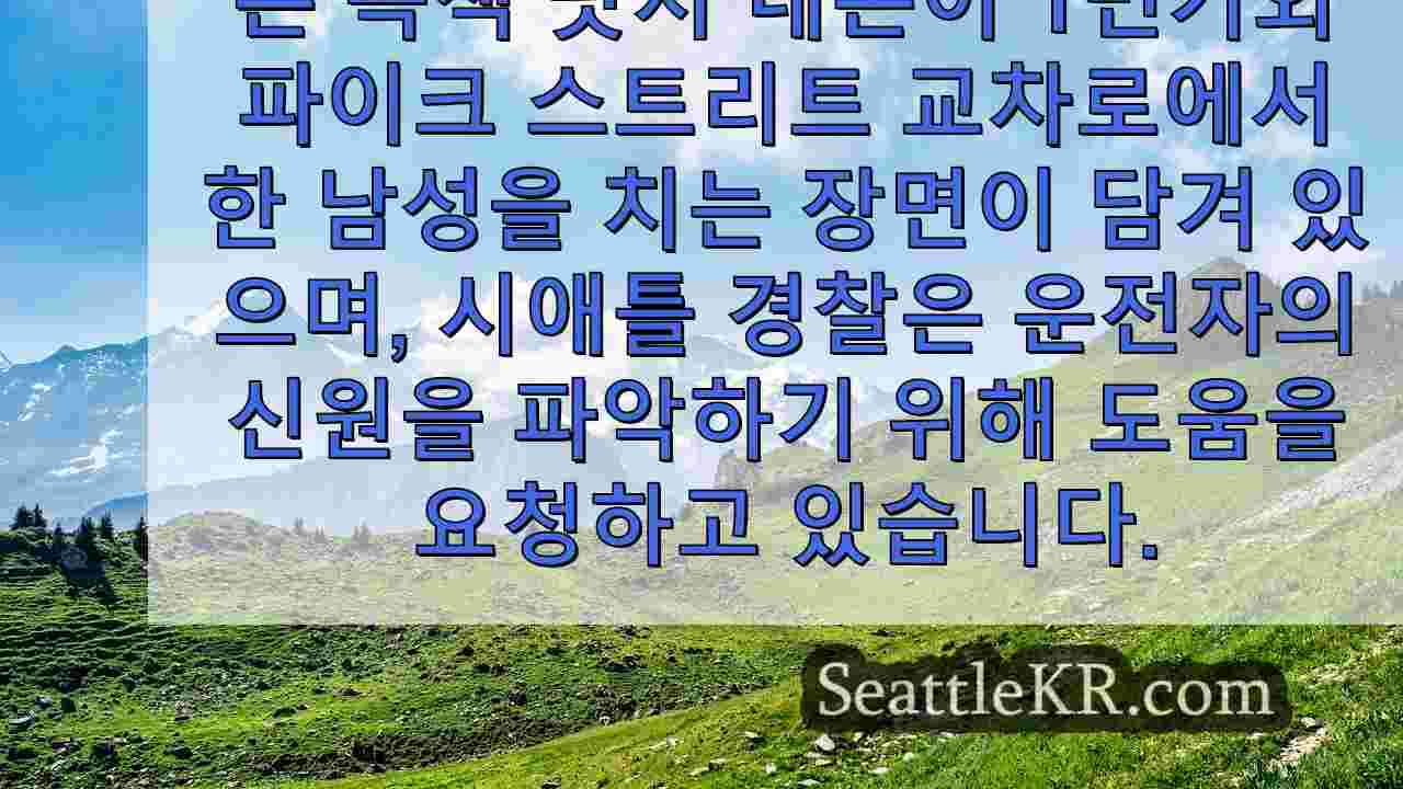 시애틀 뉴스 SeattleKR