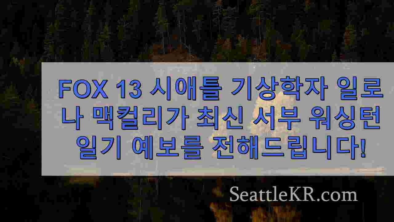 시애틀 뉴스 SeattleKR