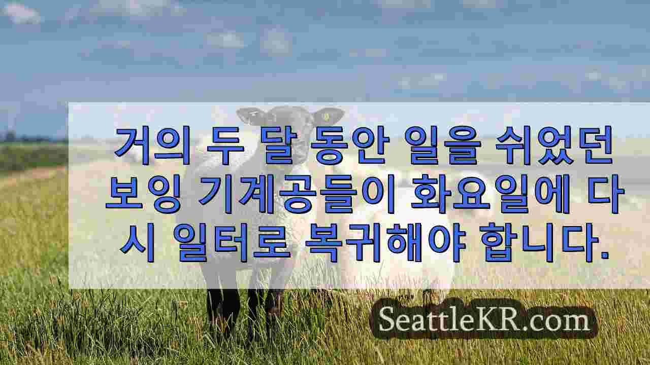 시애틀 뉴스 SeattleKR