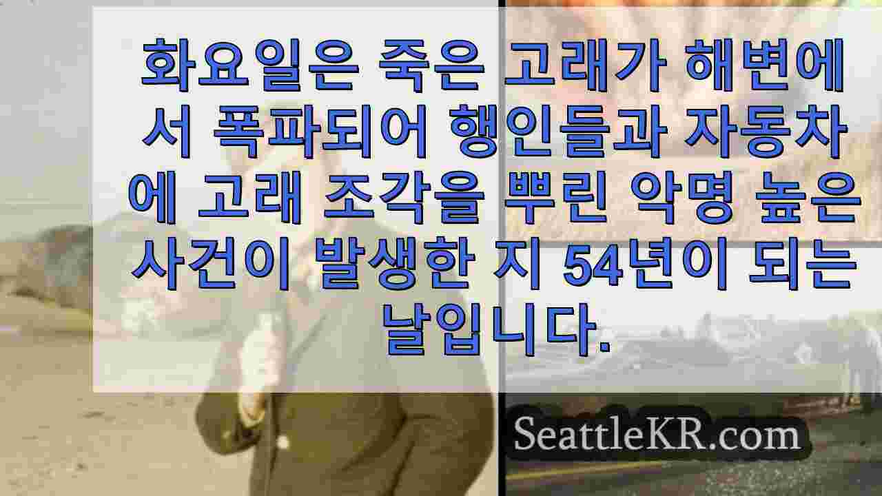 기념일을 축하합니다: 54년이 지난 지금, 오리건은 여전히 폭발하는