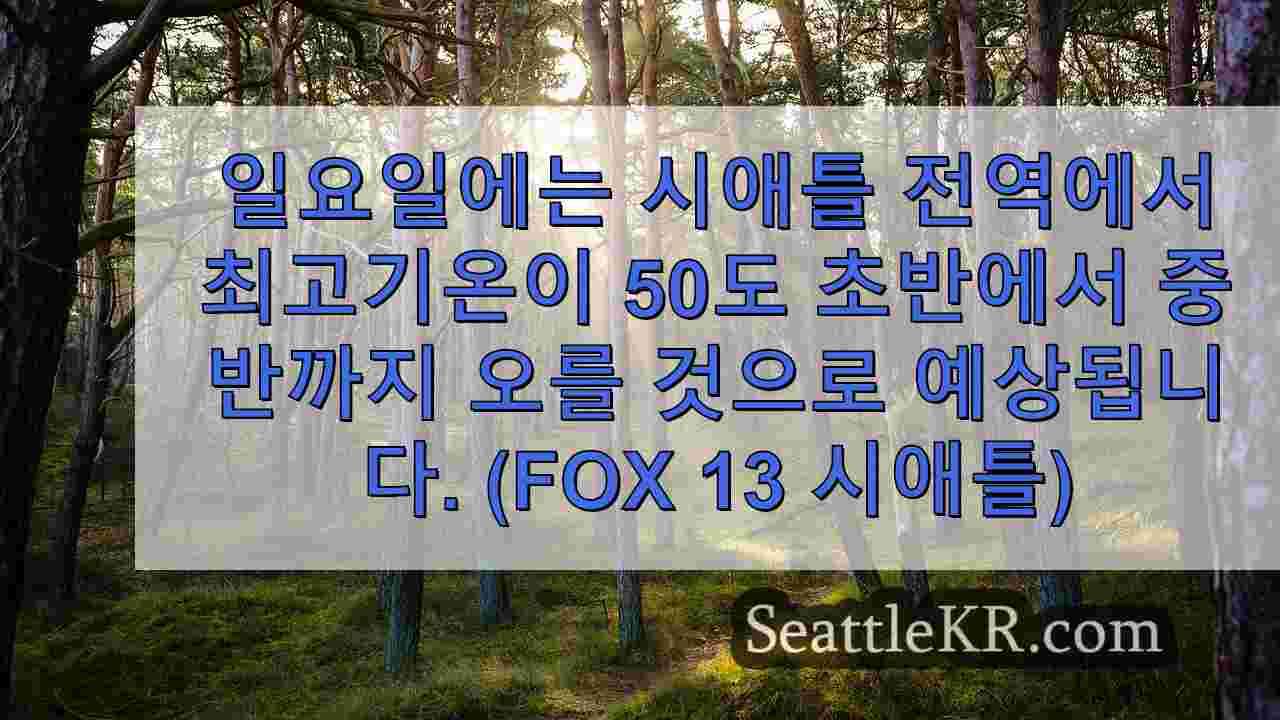 시애틀 뉴스 SeattleKR