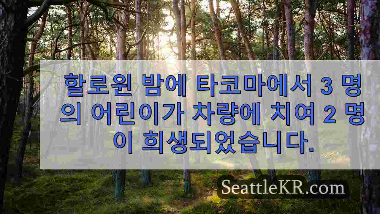 시애틀 뉴스 SeattleKR