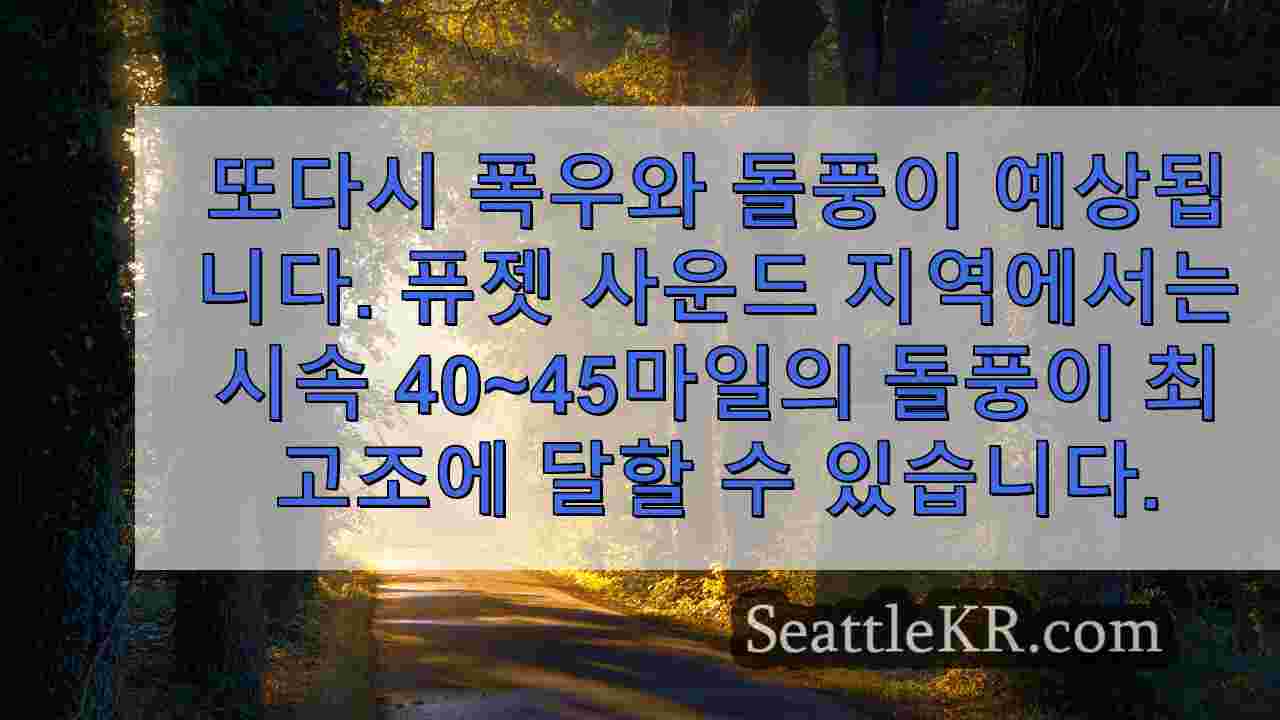 시애틀 뉴스 SeattleKR