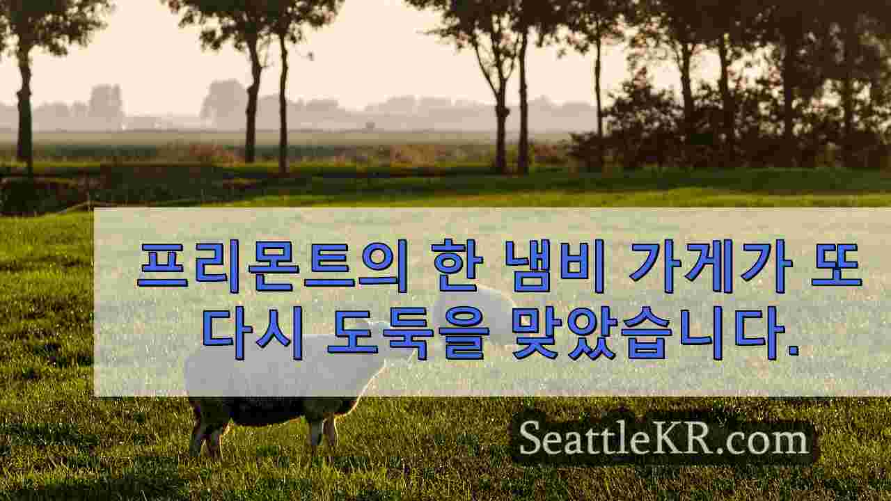 시애틀 뉴스 SeattleKR