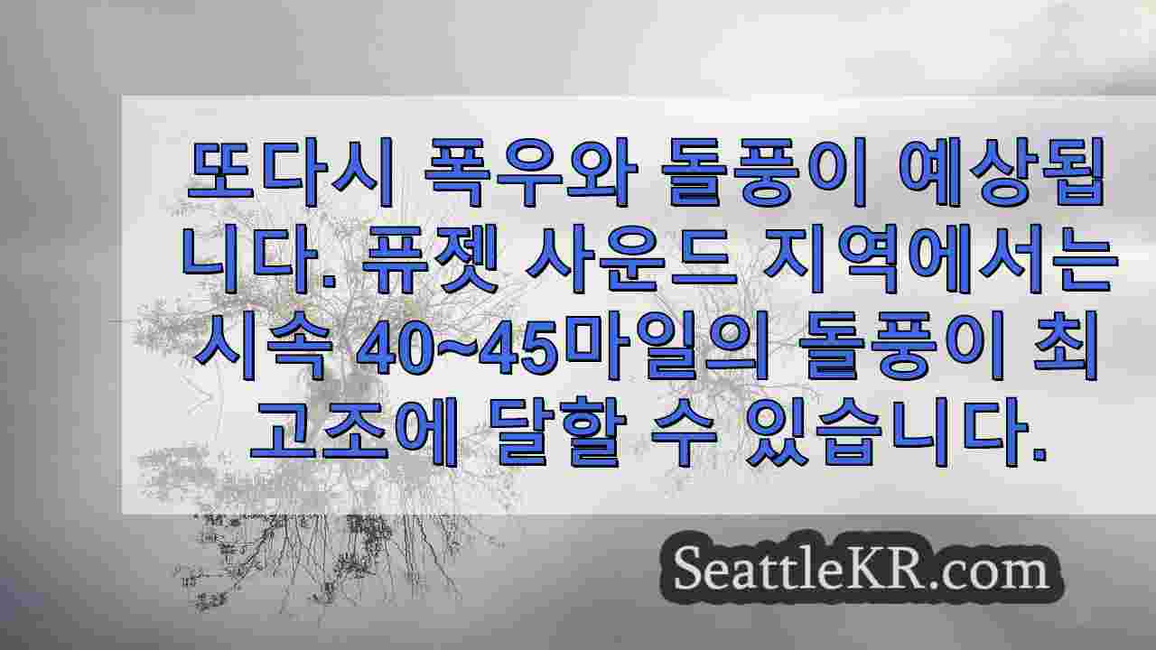 시애틀 뉴스 SeattleKR