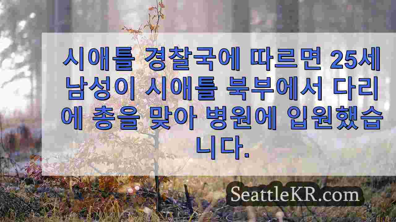 시애틀 뉴스 SeattleKR