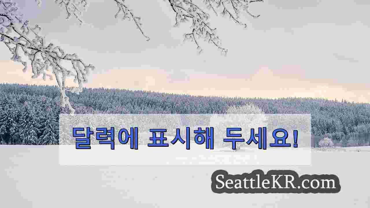 마이 케미컬 로맨스 “롱 라이브” 블랙 퍼레이드 투어를 위해 시애틀에