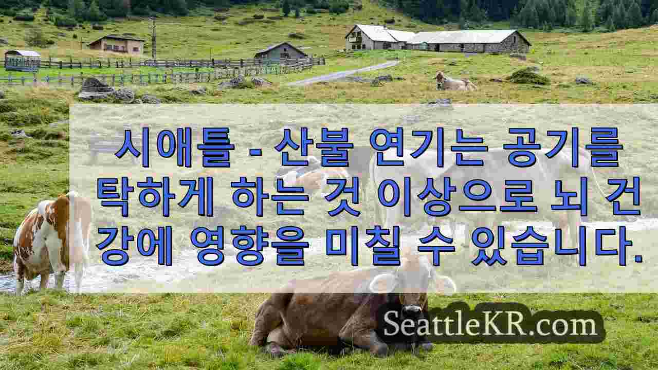 산불 연기가 치매 위험을 증폭 시킨다는 연구 결과가 나왔다.