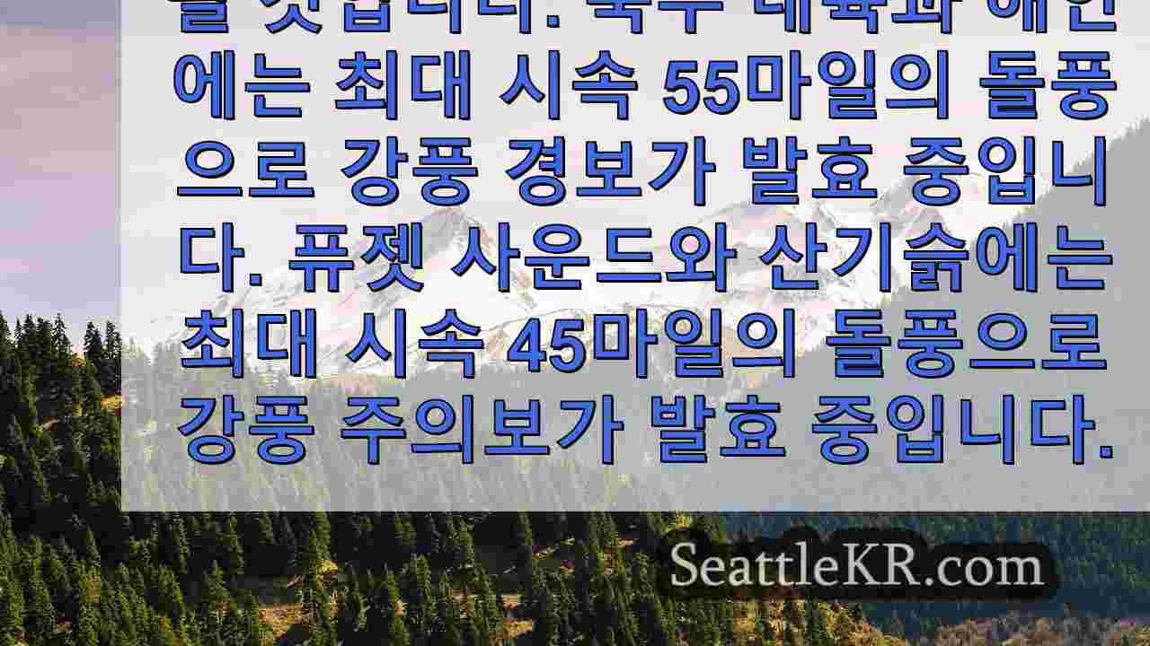 시애틀 뉴스 SeattleKR