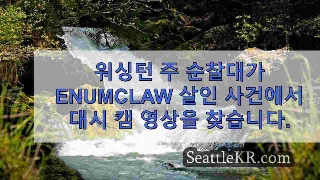 시애틀 뉴스 SeattleKR