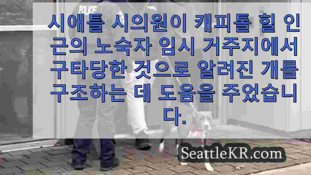 시애틀 시의원이 과도기 주택에서 학대 혐의를 받고 있는 개를 구조하는