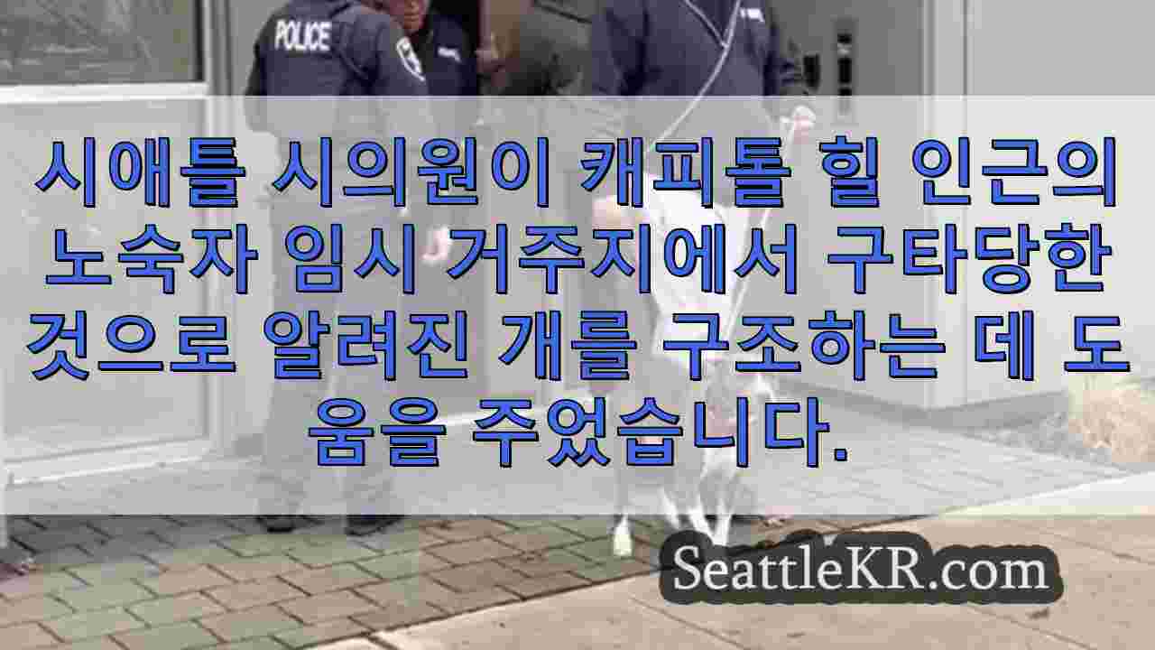 시애틀 뉴스 SeattleKR