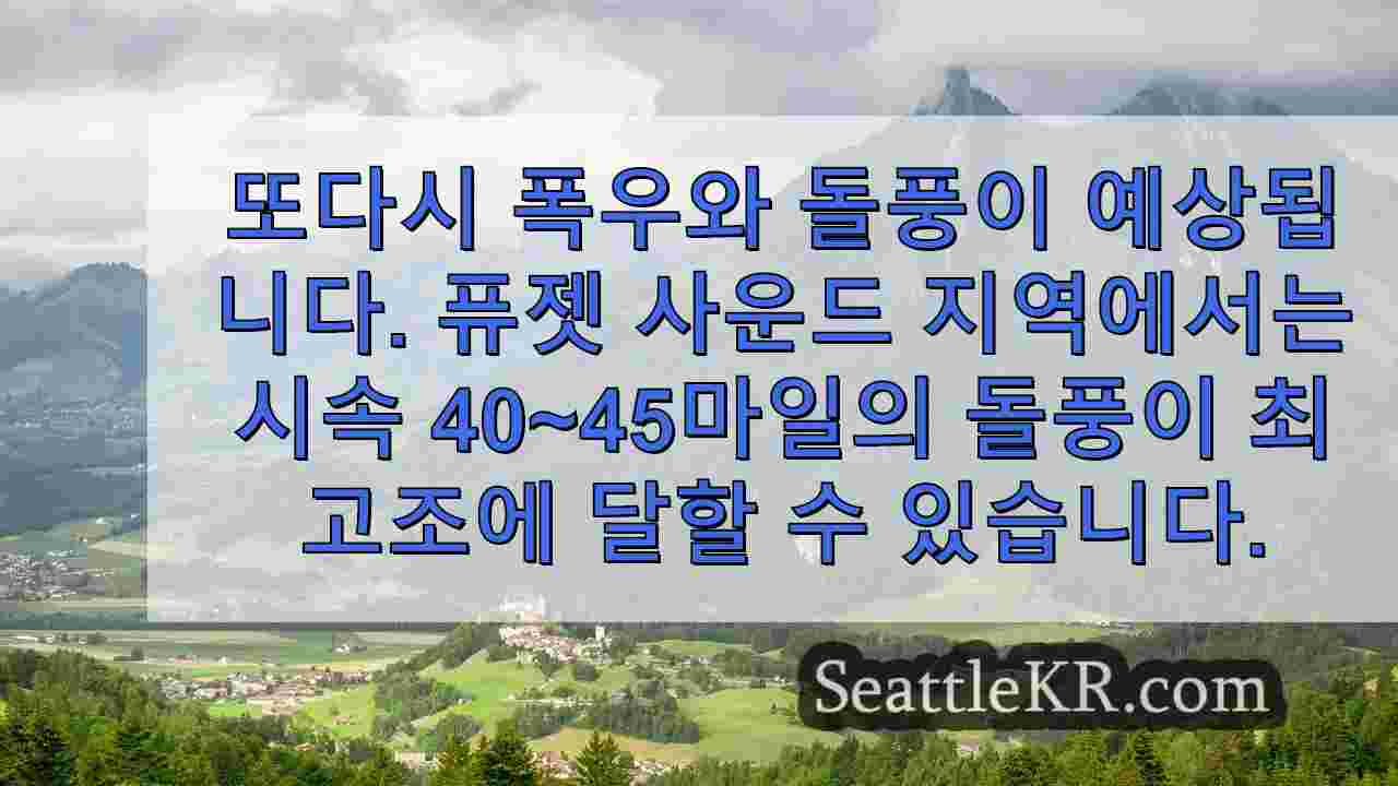 시애틀 뉴스 SeattleKR