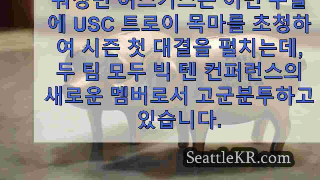 워싱턴 대학교 허스키스 대 USC 경기 시청 방법