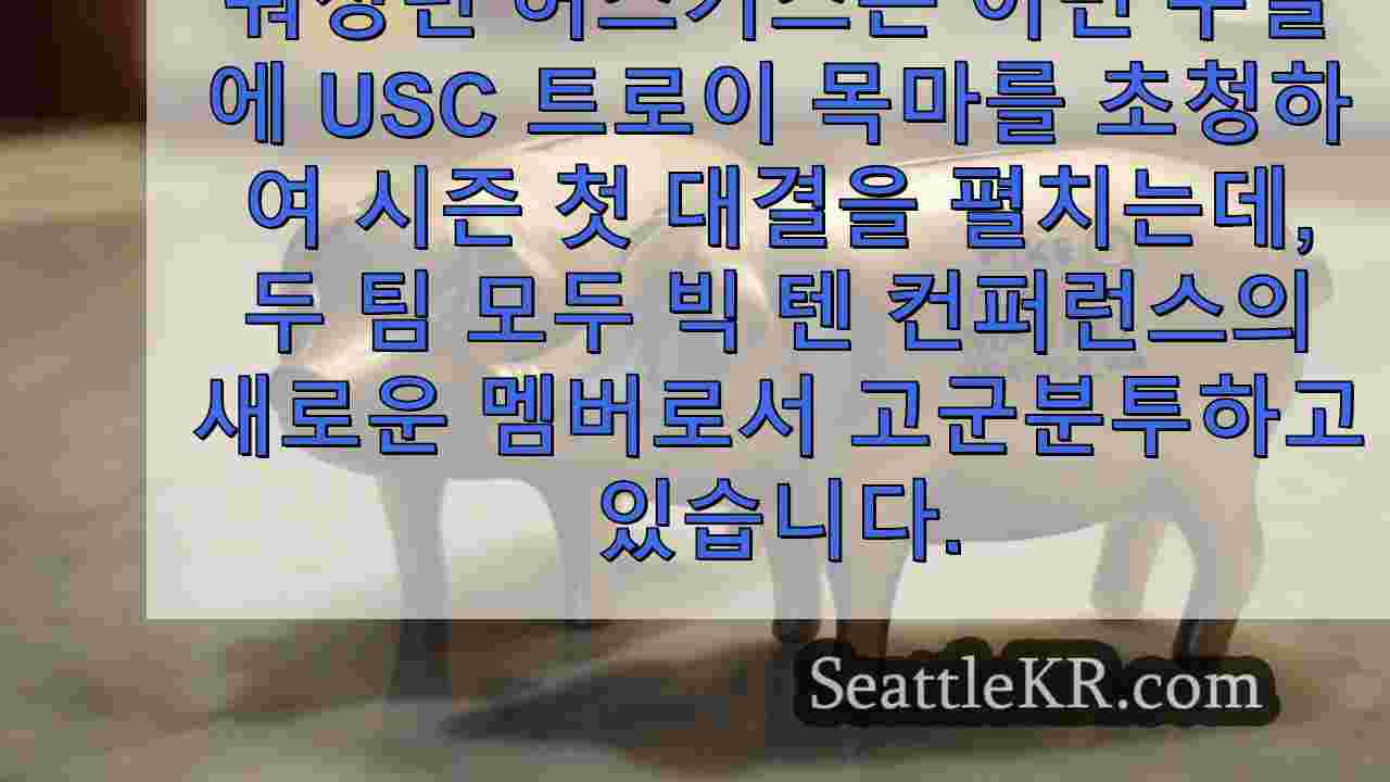 워싱턴 대학교 허스키스 대 USC 경기 시청 방법