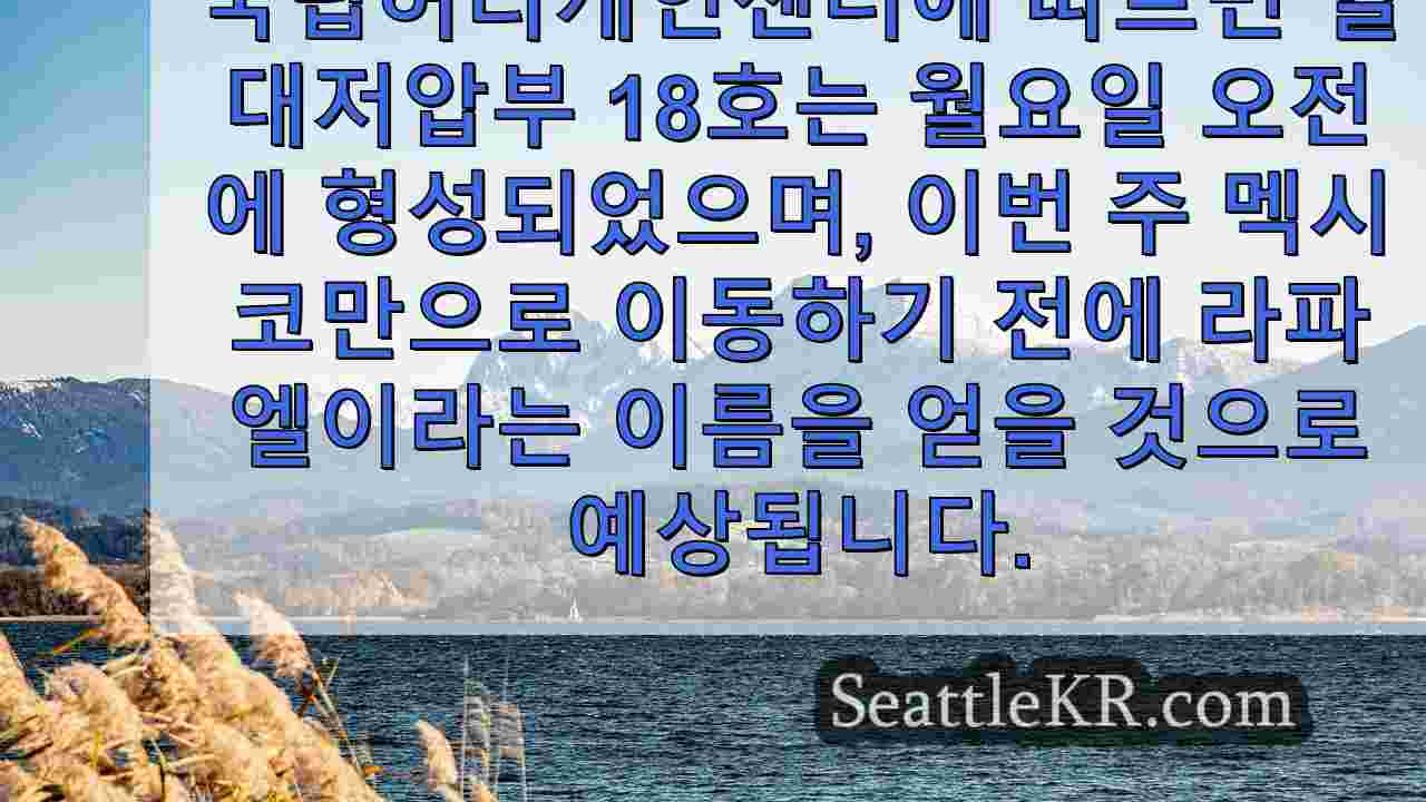 시애틀 뉴스 SeattleKR