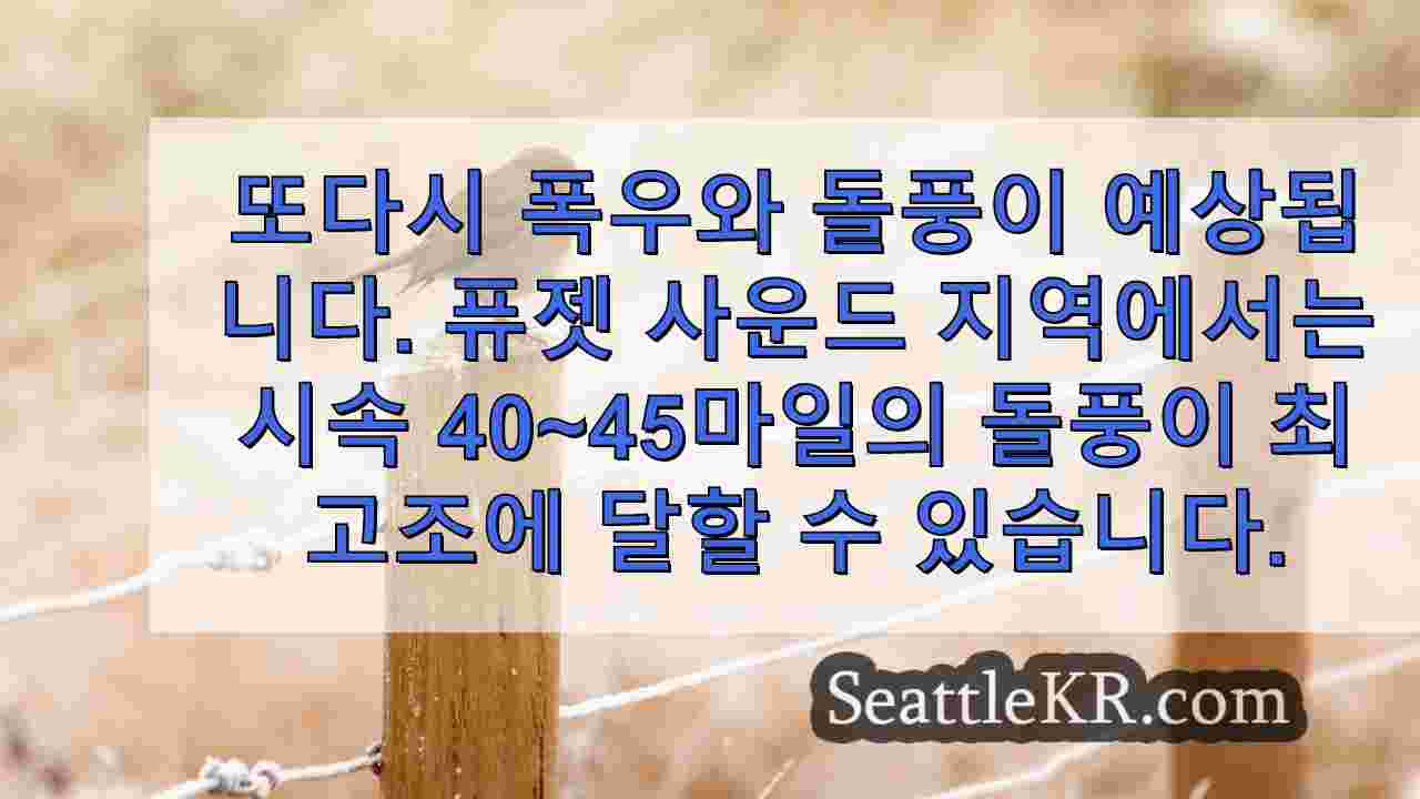 시애틀 뉴스 SeattleKR