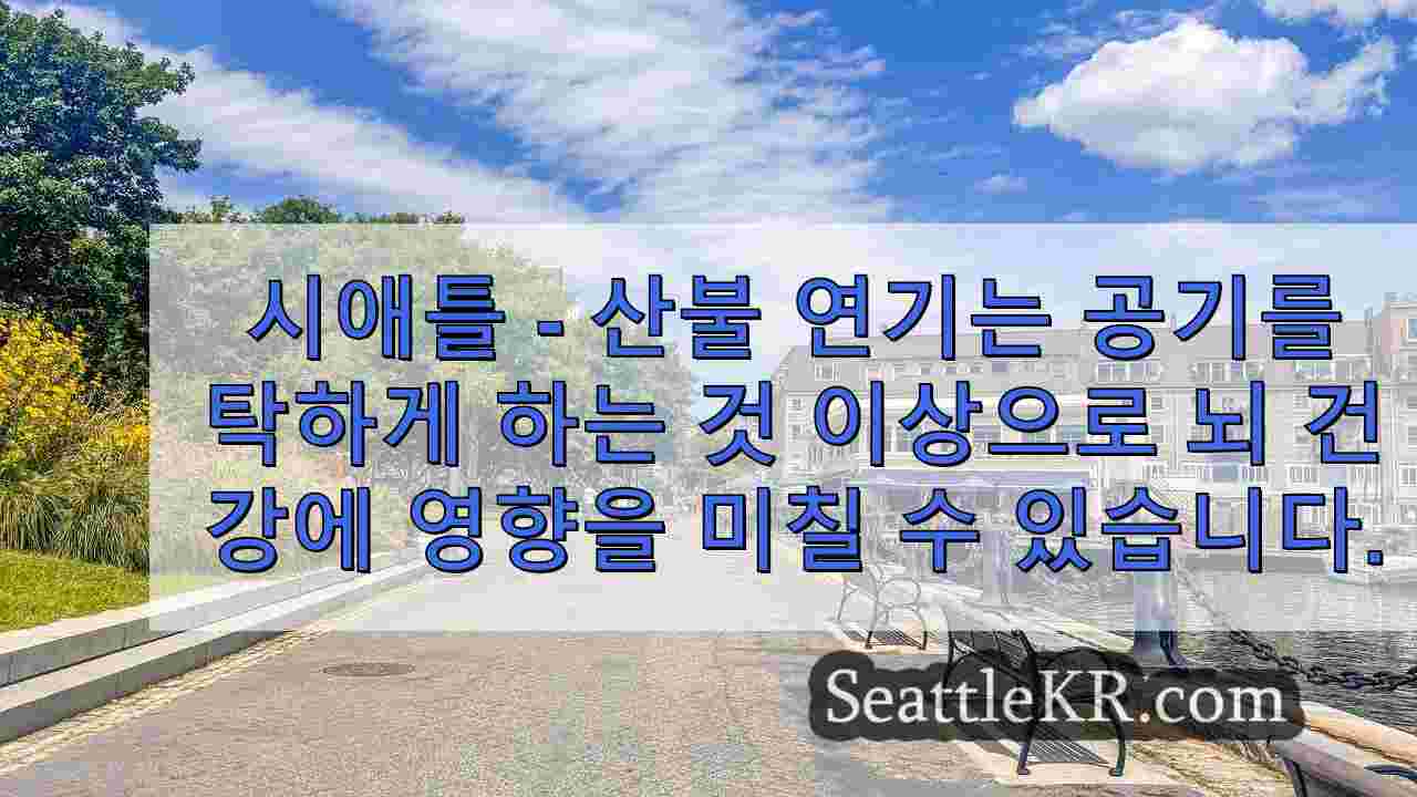 시애틀 뉴스 SeattleKR
