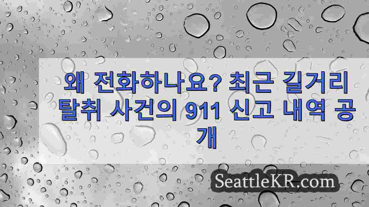왜 전화하나요? 최근 길거리 탈취 사건의 911 신고 내역 공개