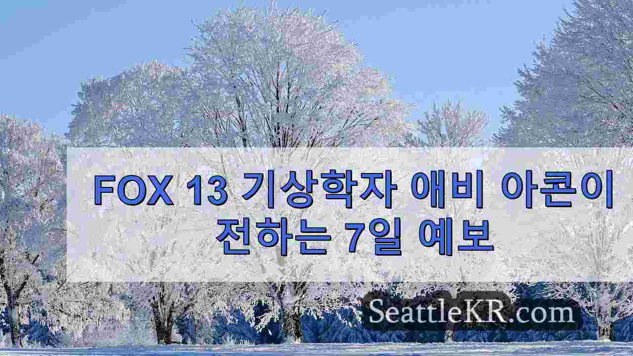 시애틀 뉴스 SeattleKR