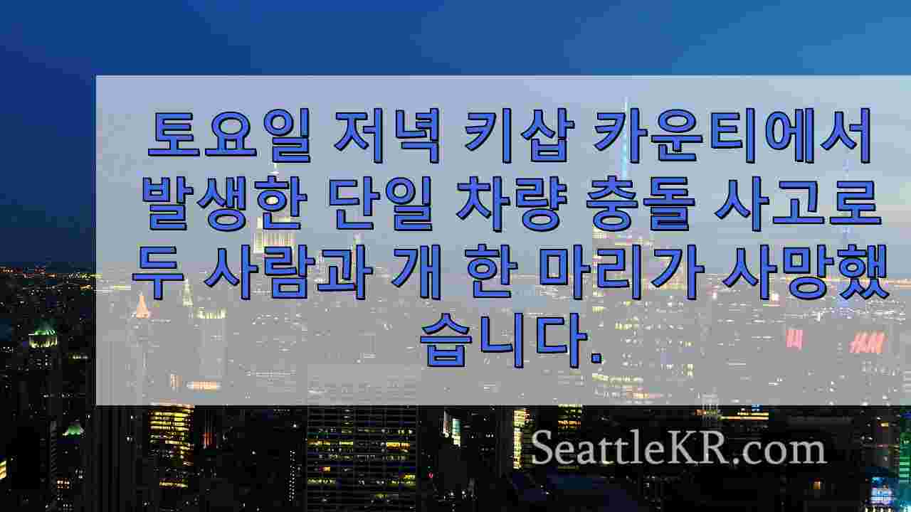 시애틀 뉴스 SeattleKR