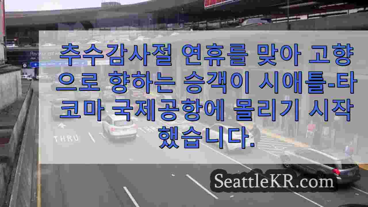 추수감사절 여행객이 시택 공항으로 몰리면서 공항이 연휴 성수기를 대비합니다.