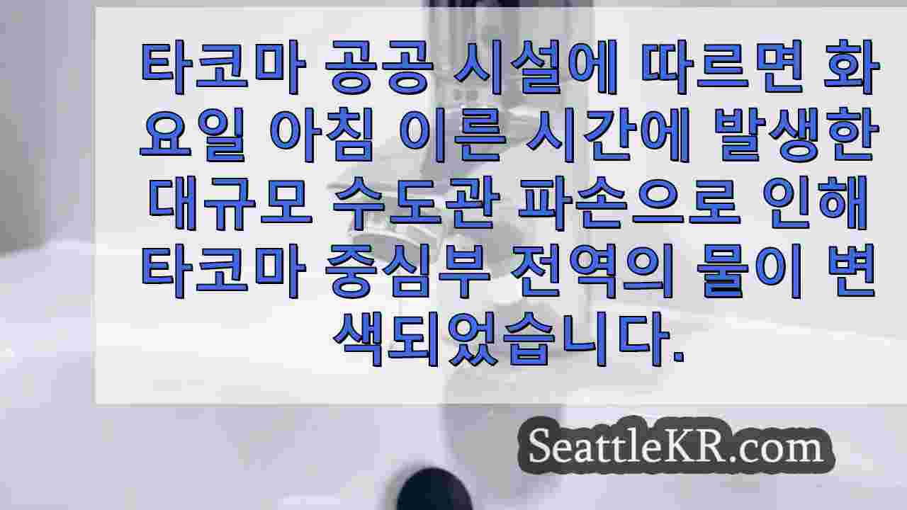 시애틀 뉴스 SeattleKR