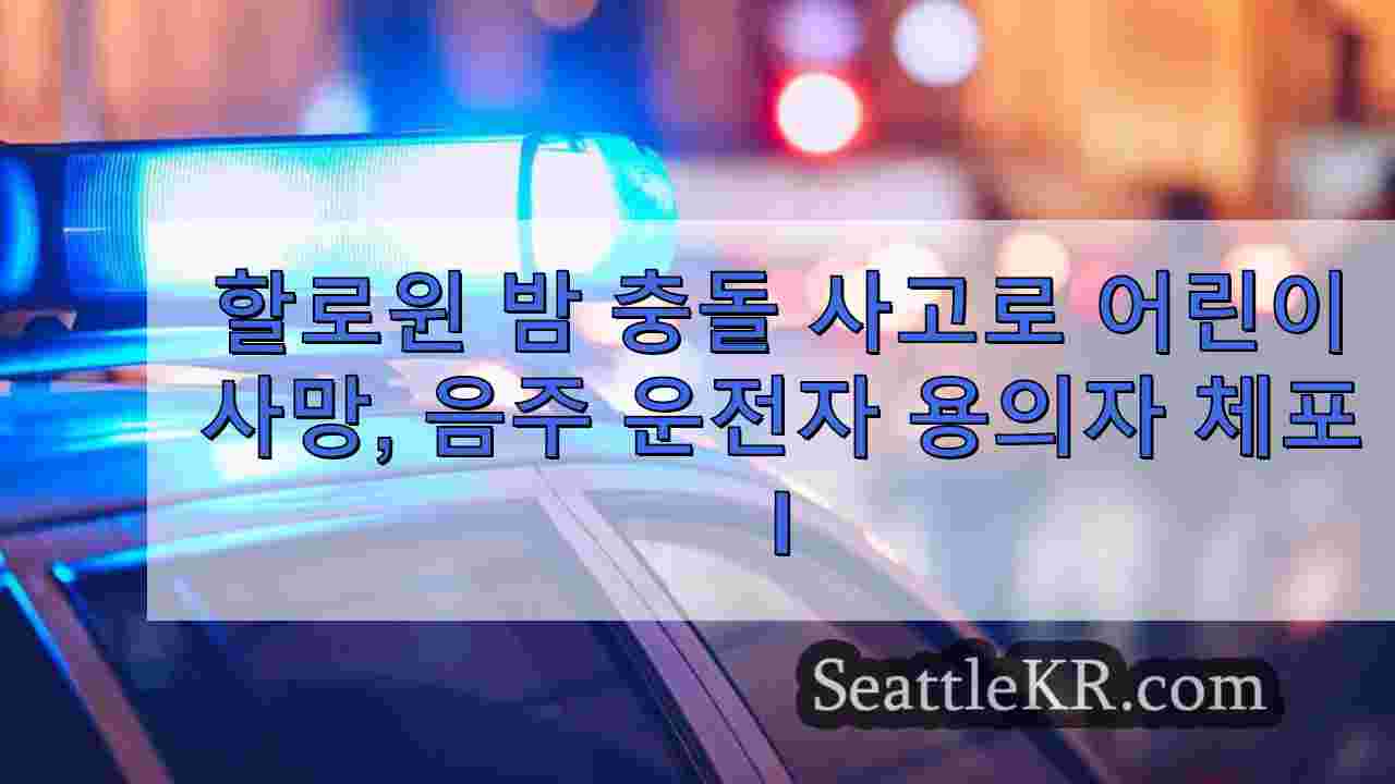 할로윈 밤 충돌 사고로 어린이 사망, 에버슨에서 음주 운전자 용의자 체포