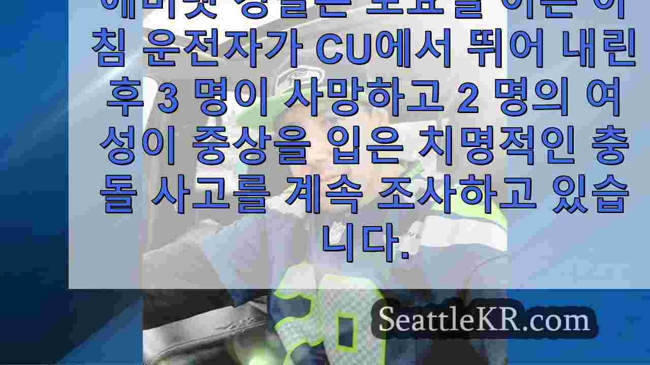 경찰이 치명적인 이른 아침 뺑소니 사건의 단서를 찾으면서 에버렛 가족이
