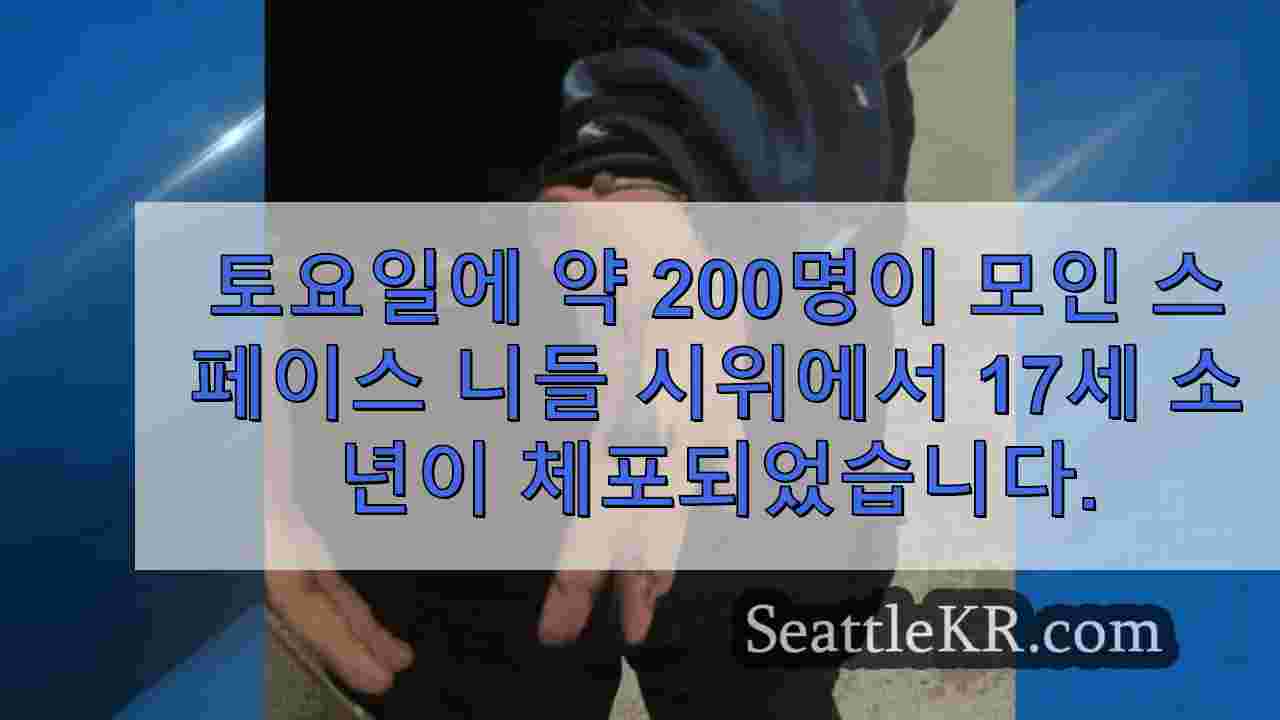 시애틀 뉴스 SeattleKR