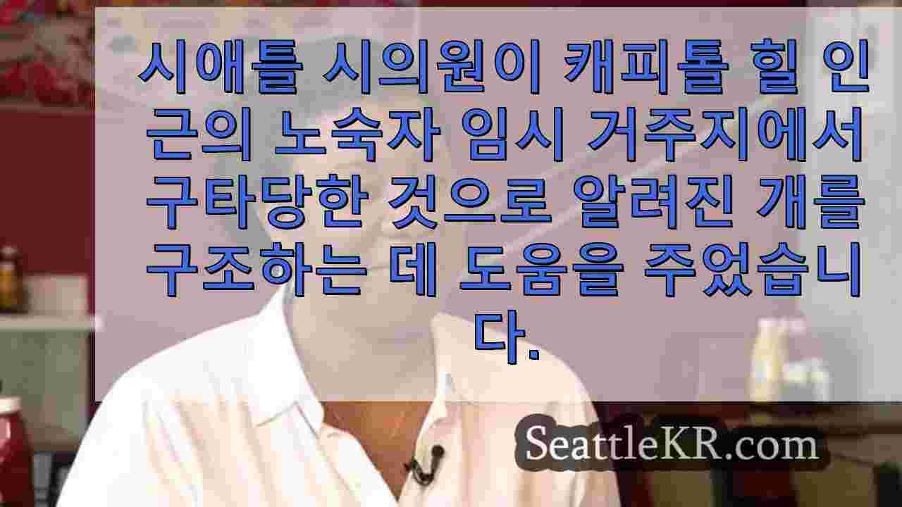 시애틀 뉴스 SeattleKR