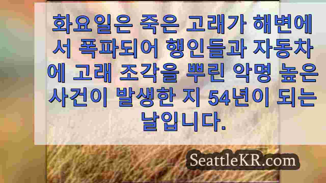 시애틀 뉴스 SeattleKR