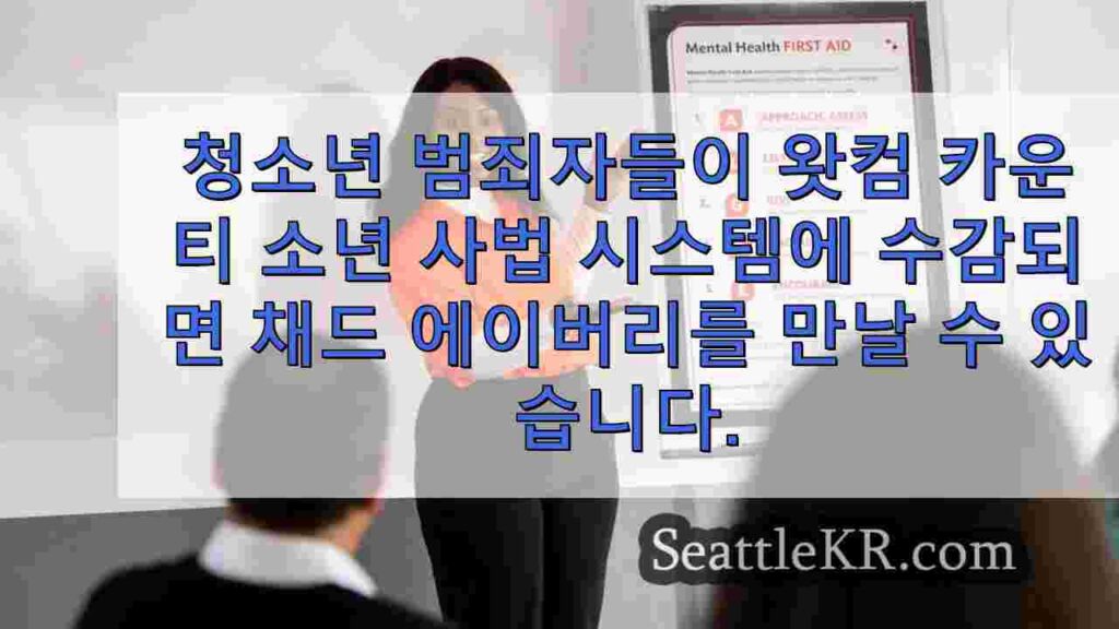 청소년 정신 건강 응급 처치는 성인에게 위기에 처한 청소년에게 대응하는