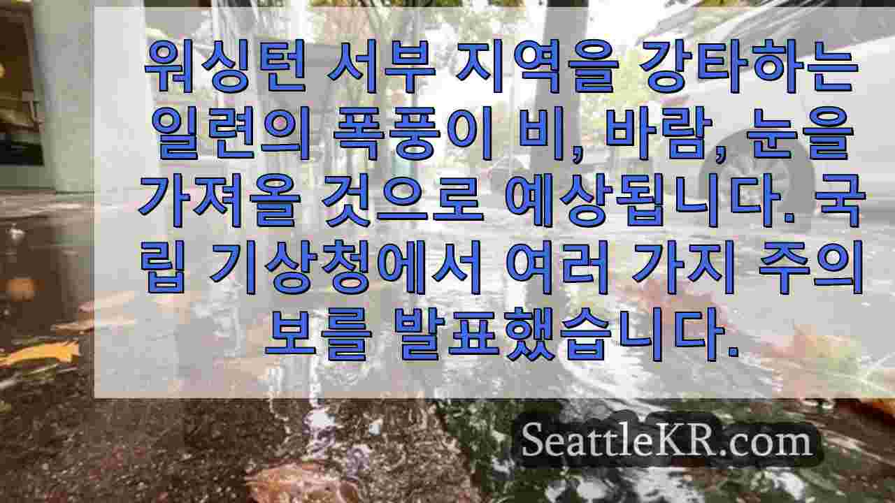 시애틀 뉴스 SeattleKR