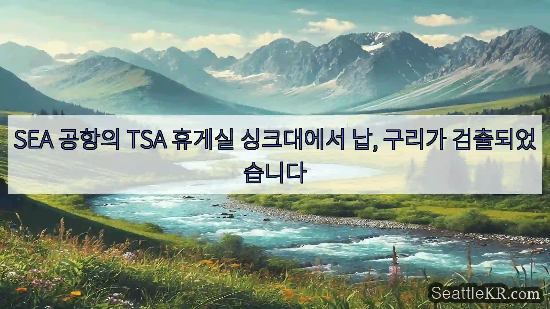 시애틀 뉴스 SEA 공항의 TSA 휴게실 싱크대에서 납, 구리가