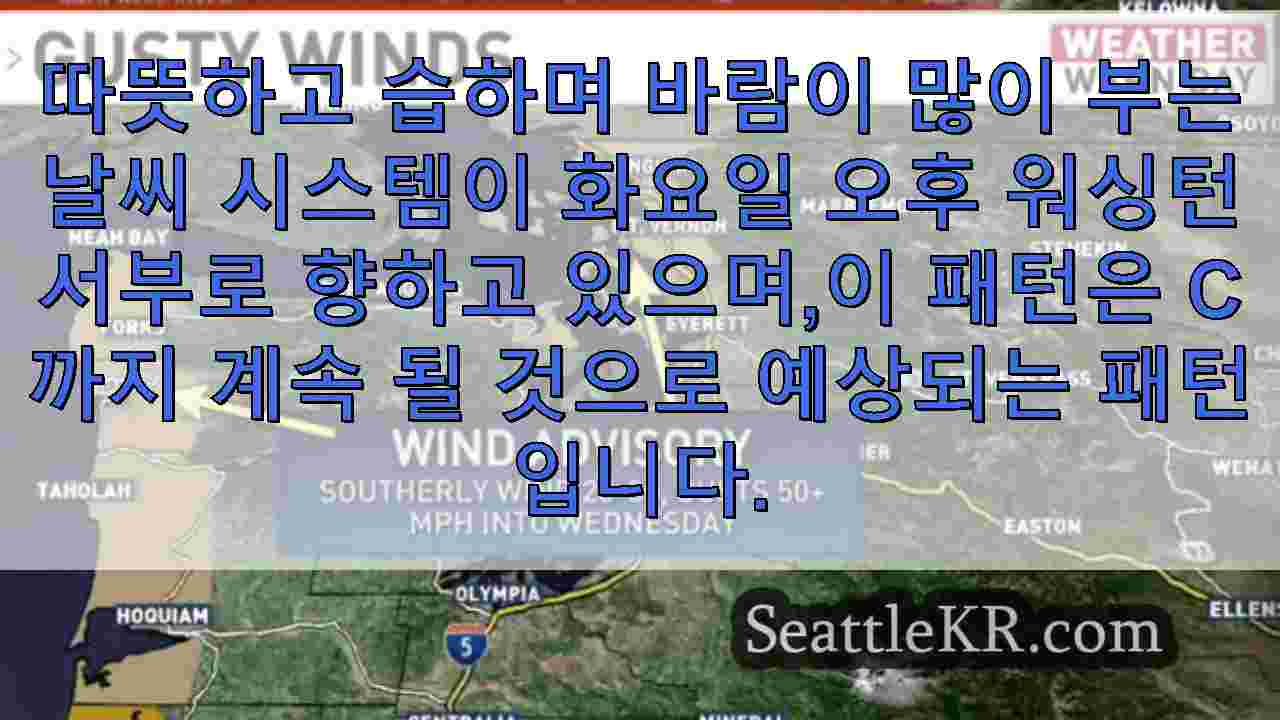 시애틀 뉴스 SeattleKR