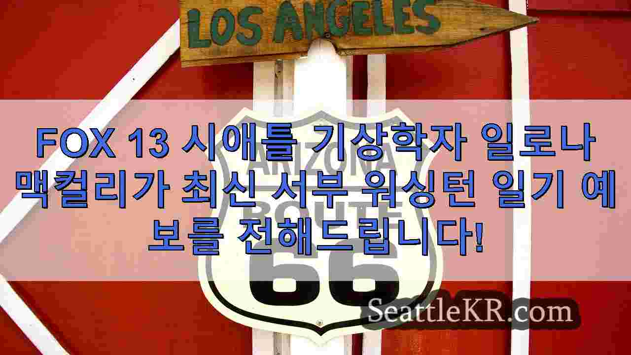 시애틀 뉴스 SeattleKR