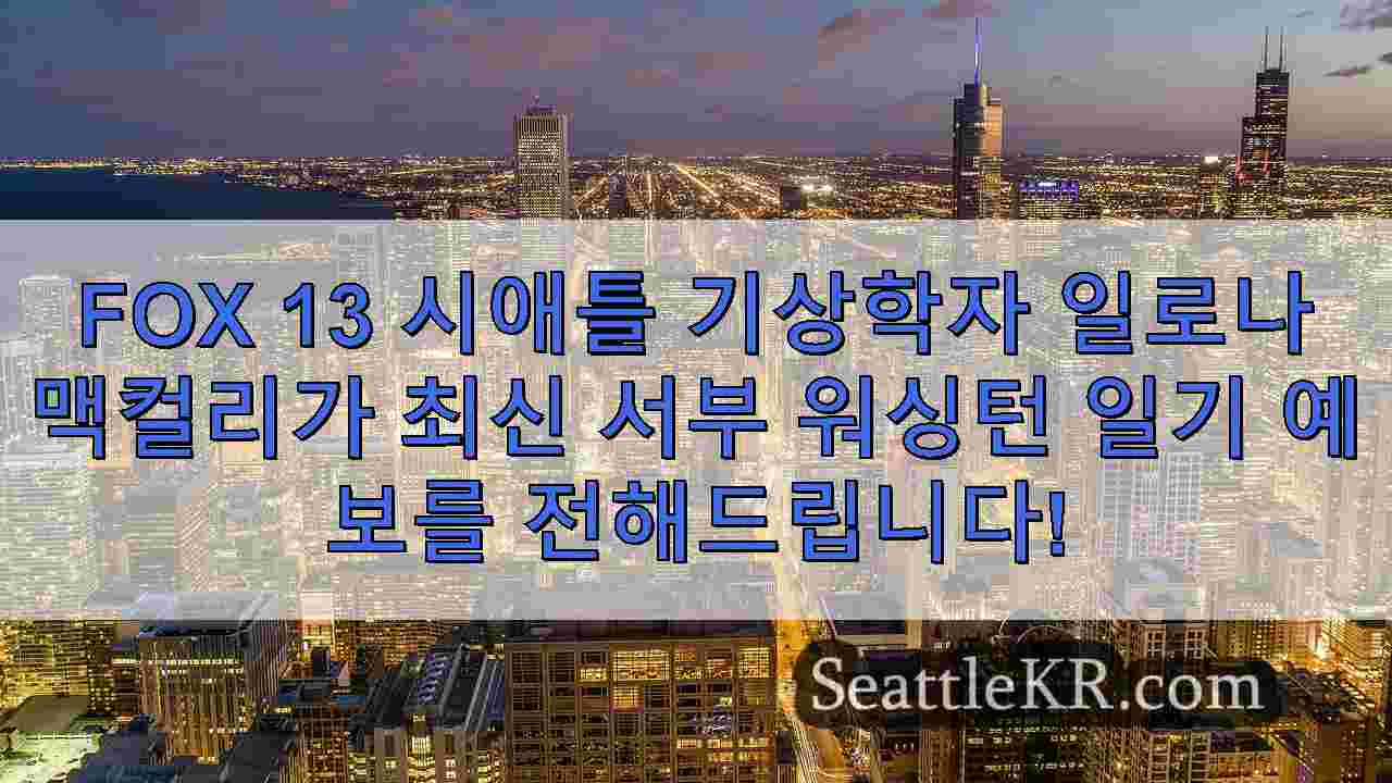 시애틀 뉴스 SeattleKR