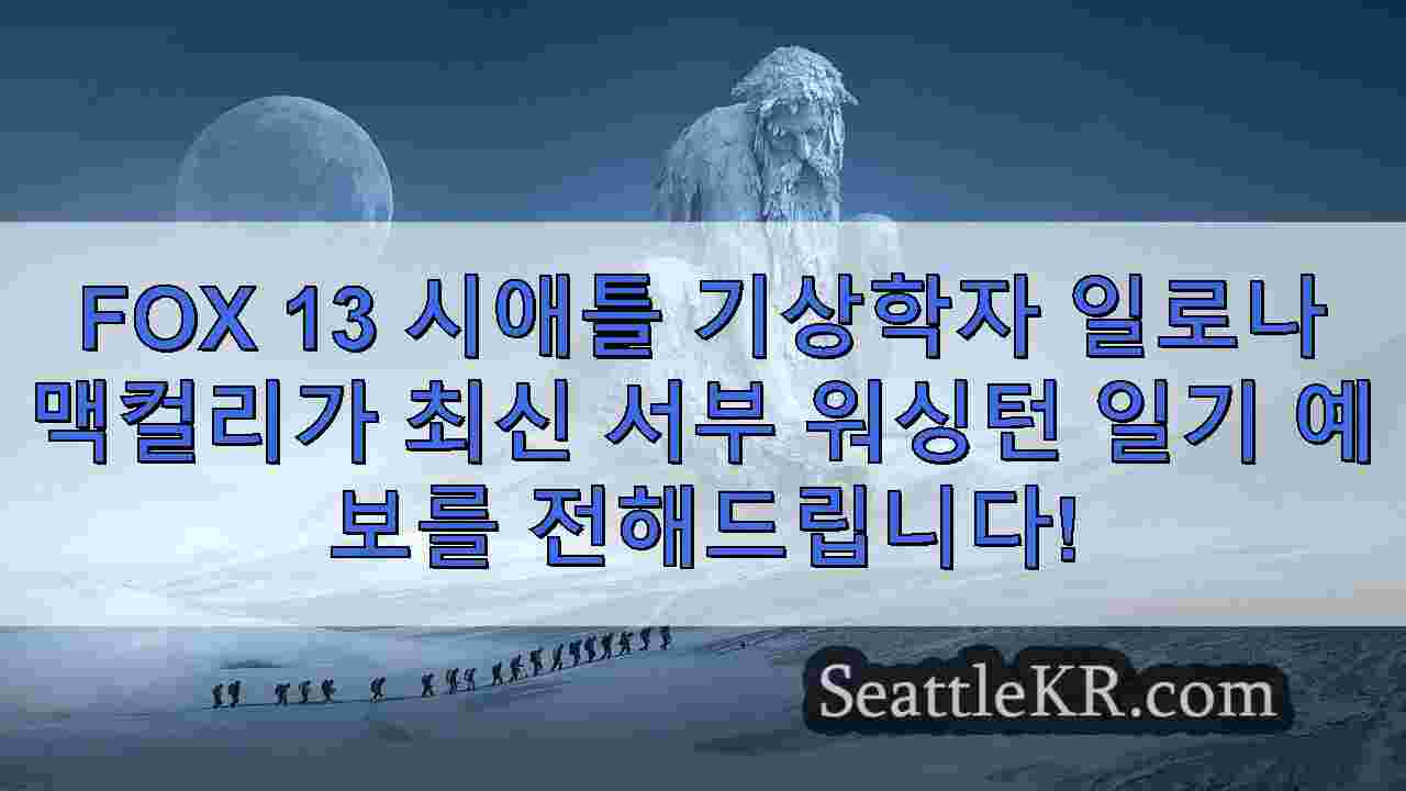 시애틀 뉴스 SeattleKR