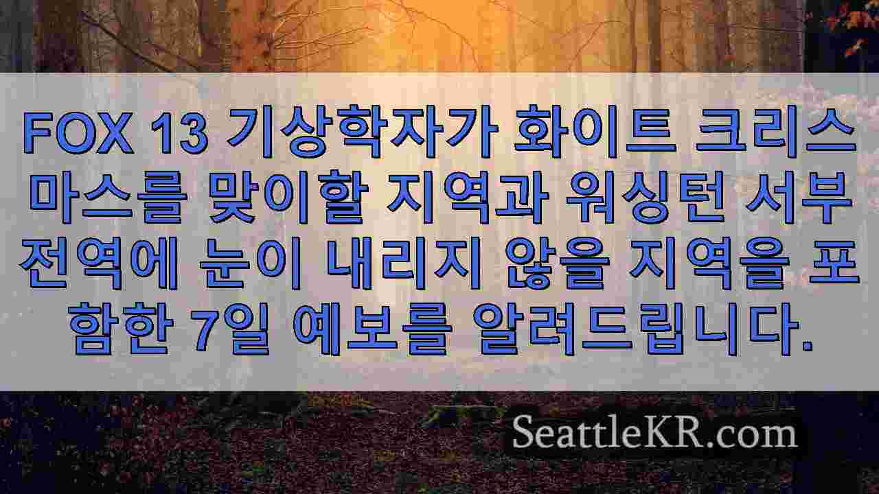 시애틀 뉴스 SeattleKR