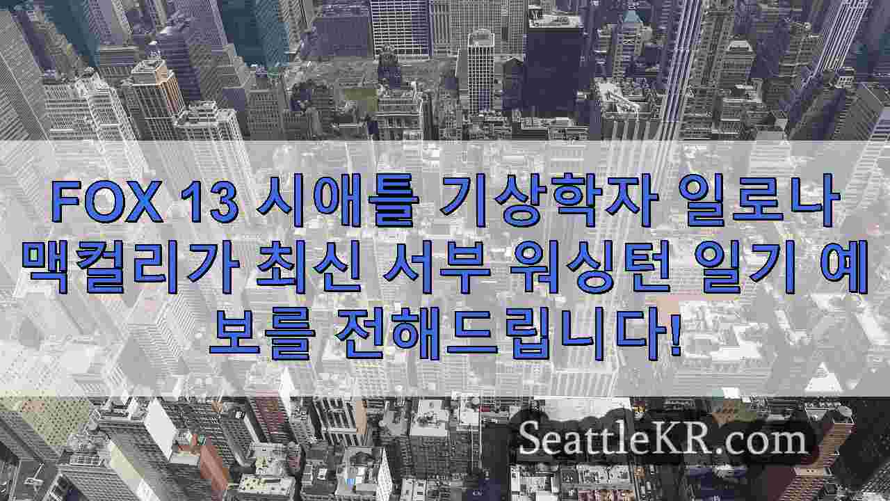 시애틀 뉴스 SeattleKR