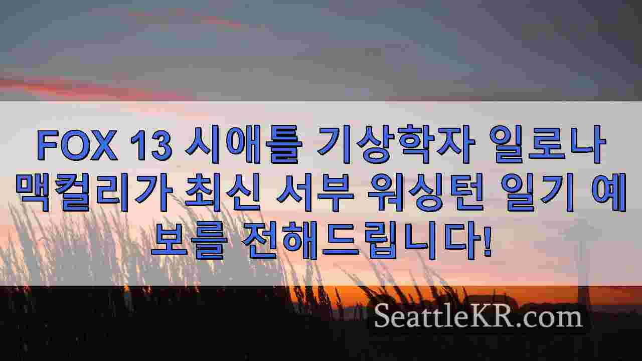 시애틀 날씨: 아침 안개가 짙게 끼는 20~30대의 최저 기온