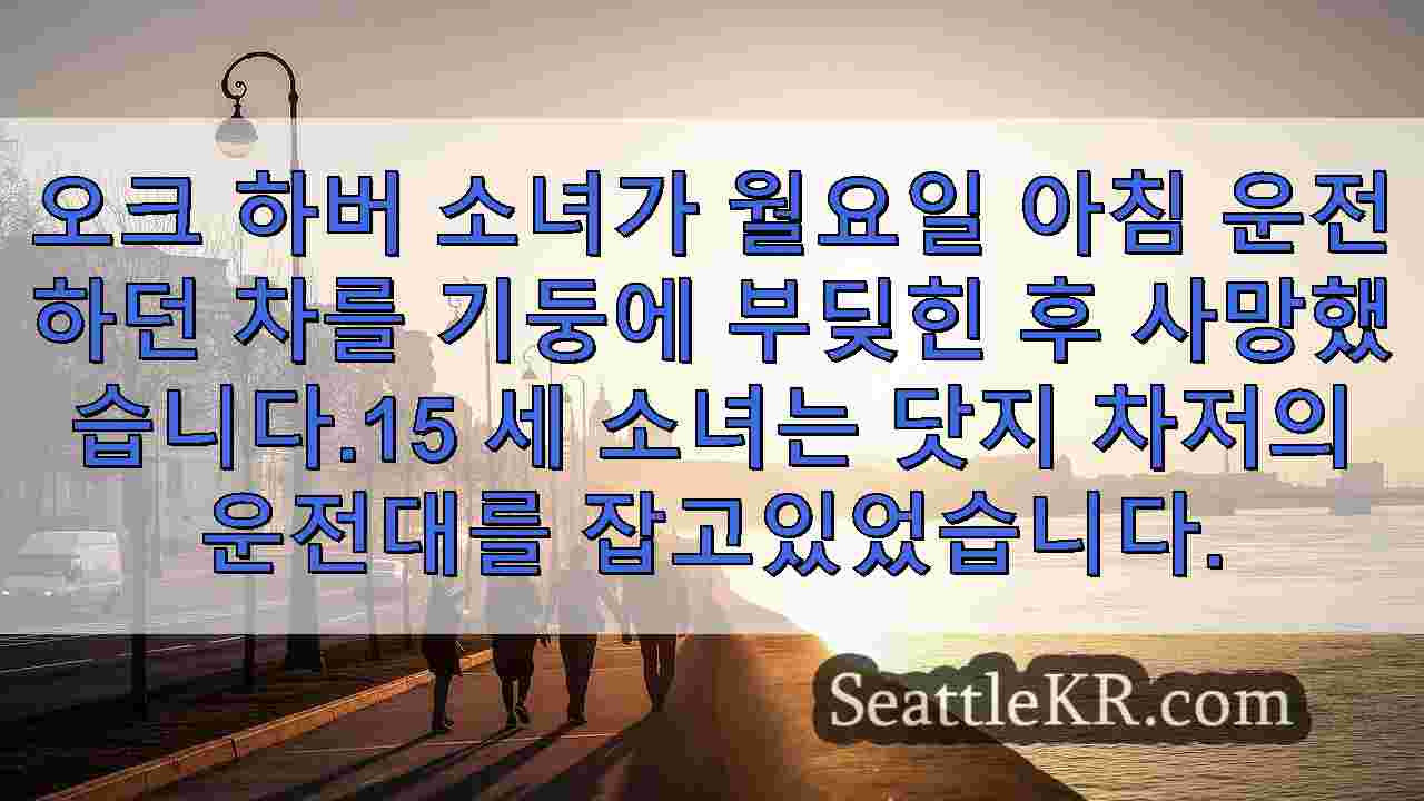 시애틀 뉴스 SeattleKR