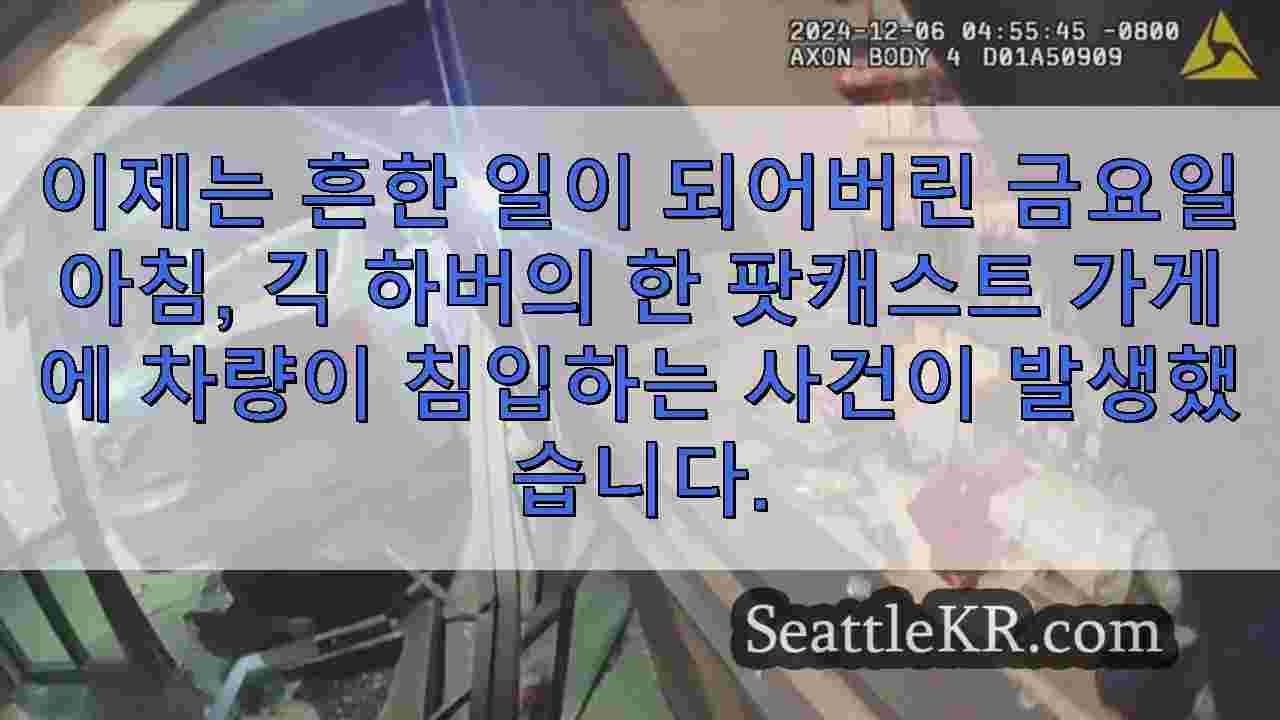 절도범들이 현대차를 이용해 긱 하버의 팟캐스트 가게에 침입해 절도
