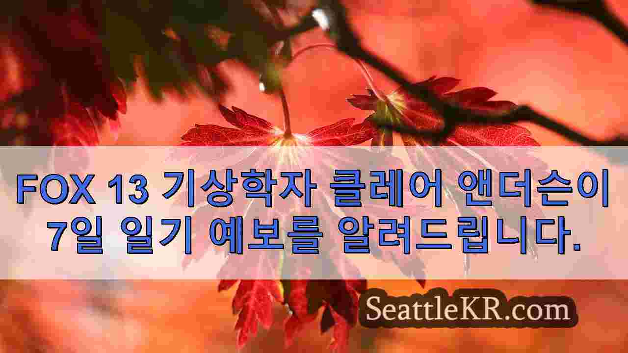 시애틀 뉴스 SeattleKR