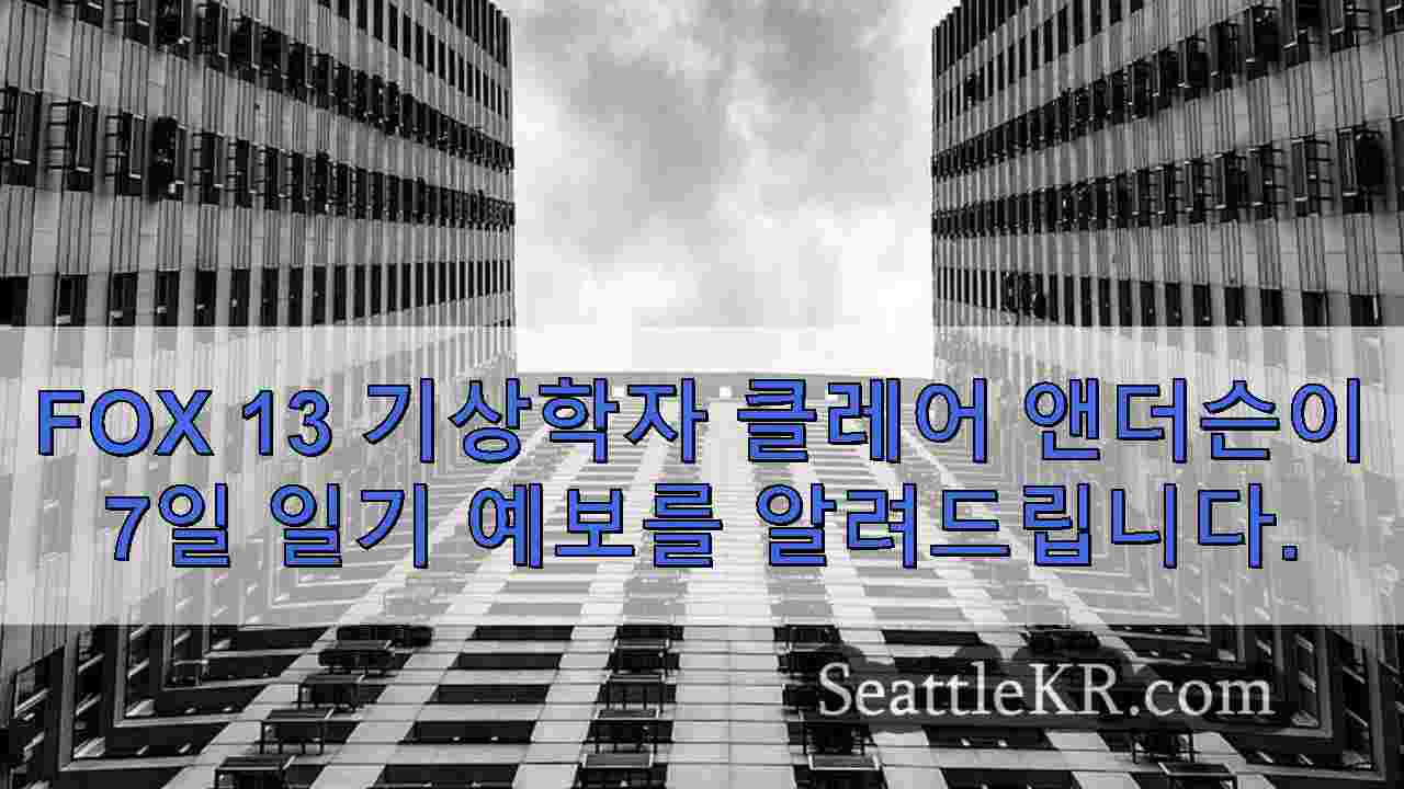 시애틀 뉴스 SeattleKR