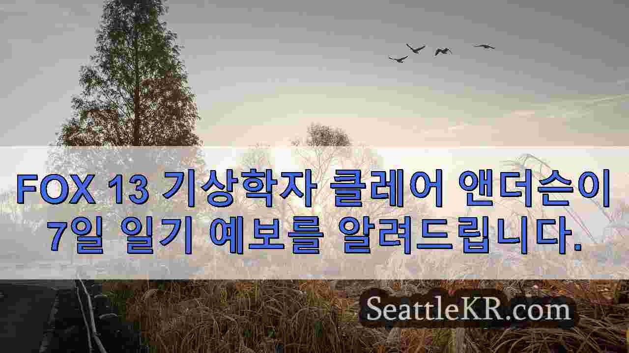 시애틀 뉴스 SeattleKR