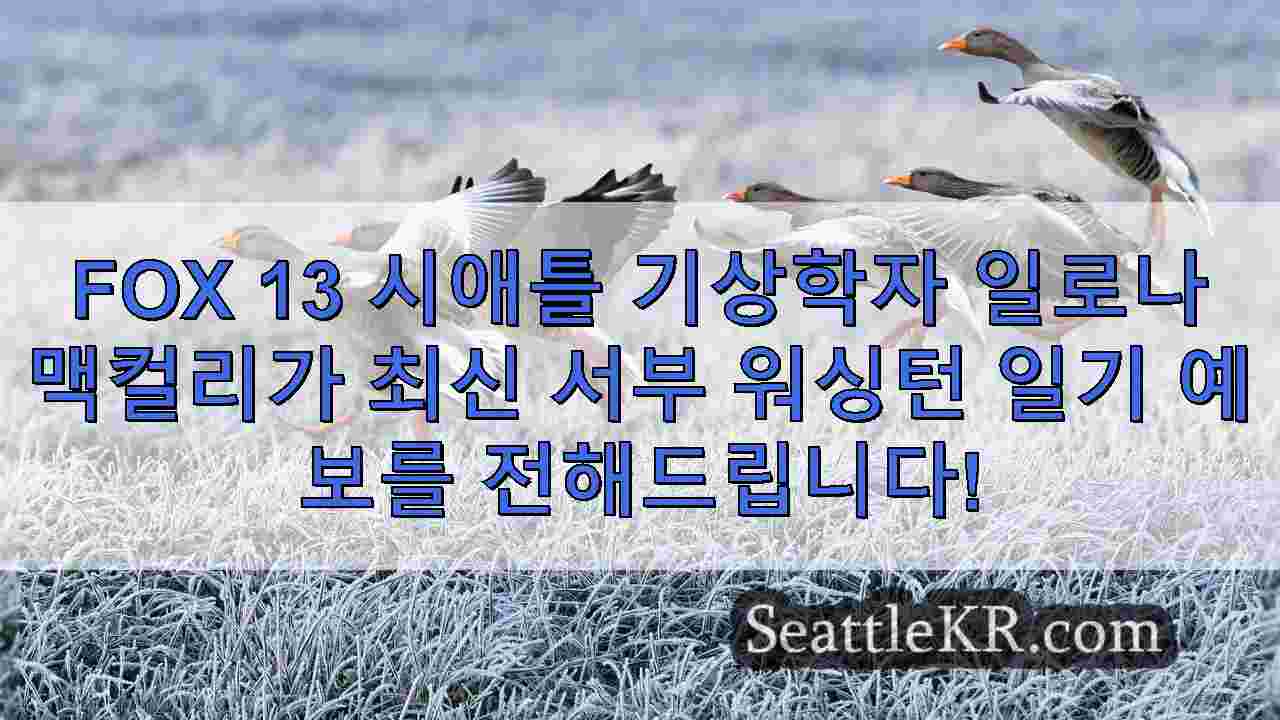 시애틀 뉴스 SeattleKR