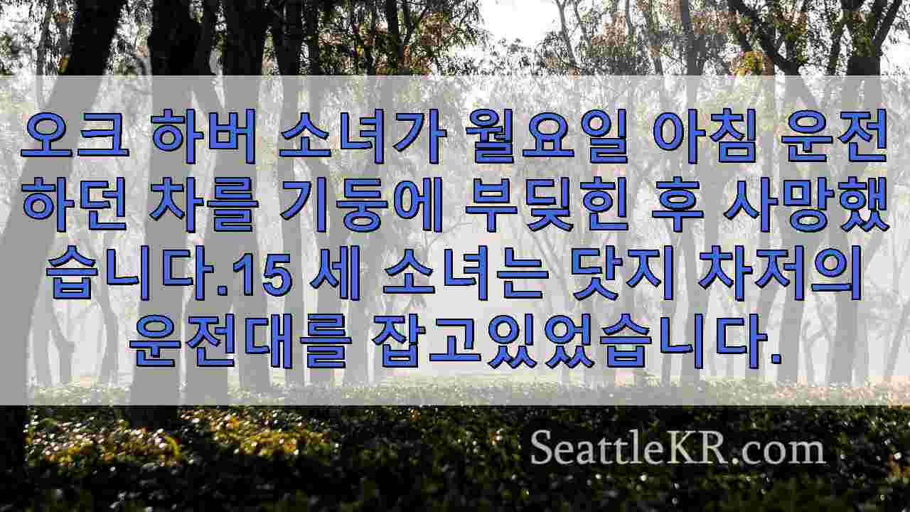 시애틀 뉴스 SeattleKR