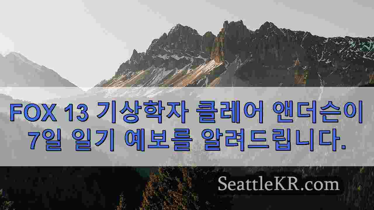 시애틀의 쌀쌀하고 안개가 낀 월요일 오후의 햇살, 월요일의 업무 시작